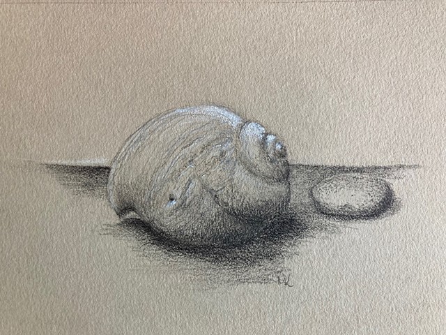 Shell