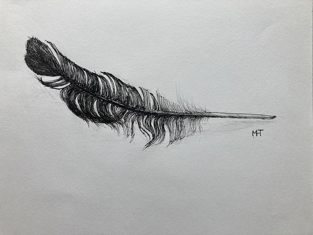 Black Feather