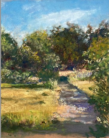 Bright Meadow