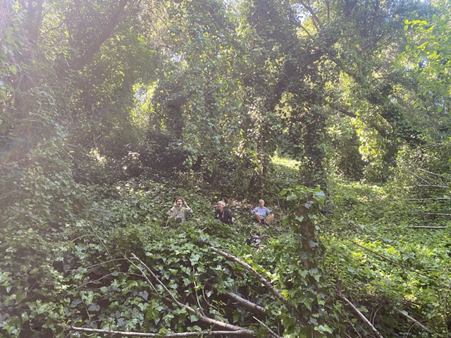 Sausal Creek Ivy League