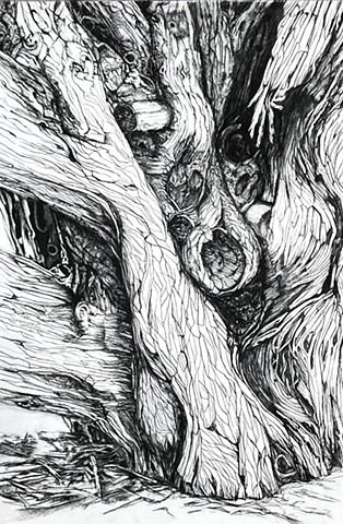Drawings