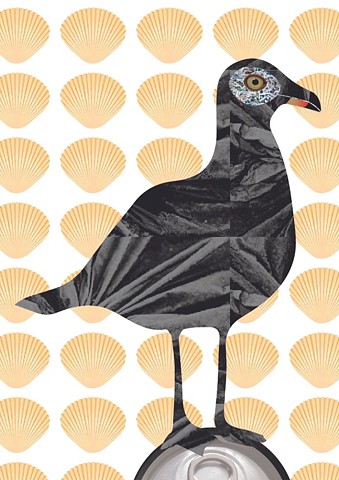 Seagull
