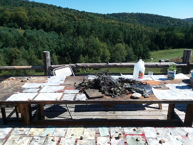Process Image: Laying Ecoprints in sun to dry