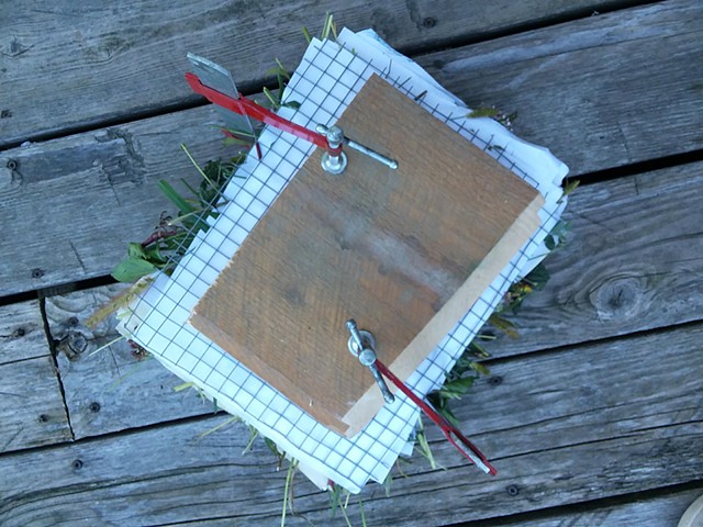 Process Image: Paper and Plant prepared for indigo dyebath