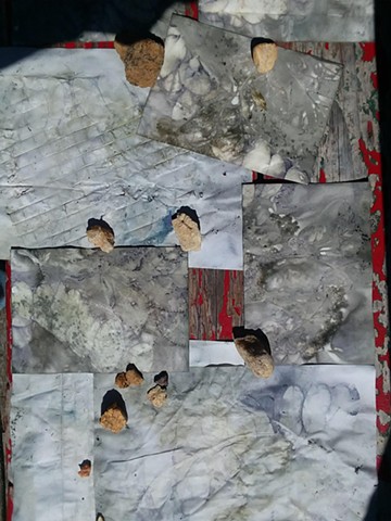 Gray Matter EcoPrints