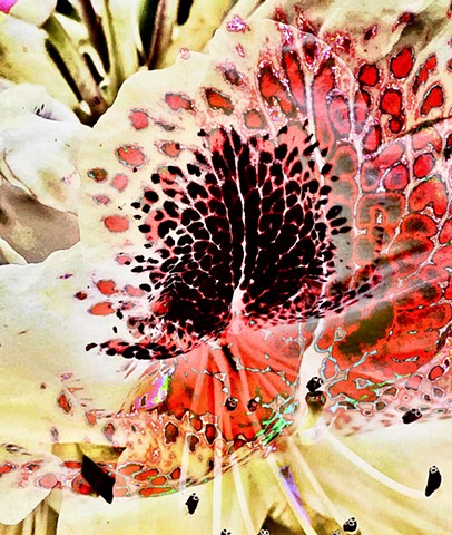 BotanicalArt
