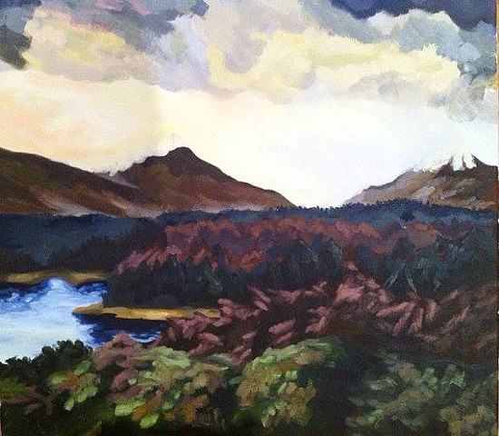 Forest of the Highlands