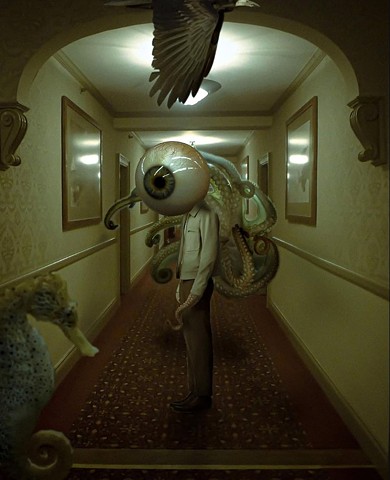ANAMORPHIC SENTINEL