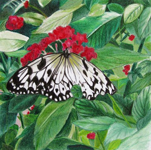 Carmen M. Badeau-Artist