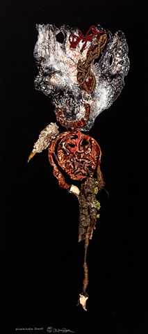 Discrimination Denied