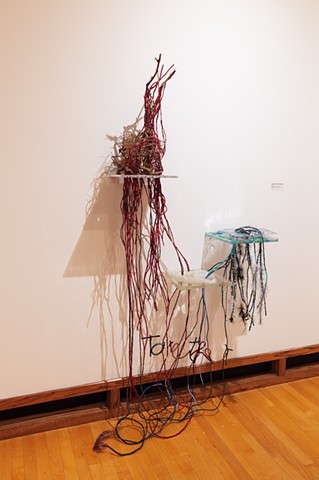 Heartsong I _ Got Heart For Water?