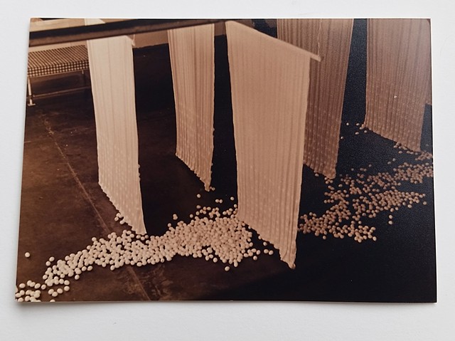 3000 Eggs Public No.1