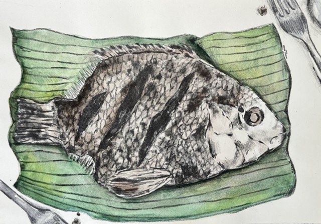 Tilapia