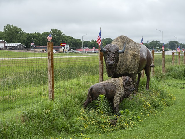 American Buffalo