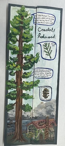 Redwoods, Informational 