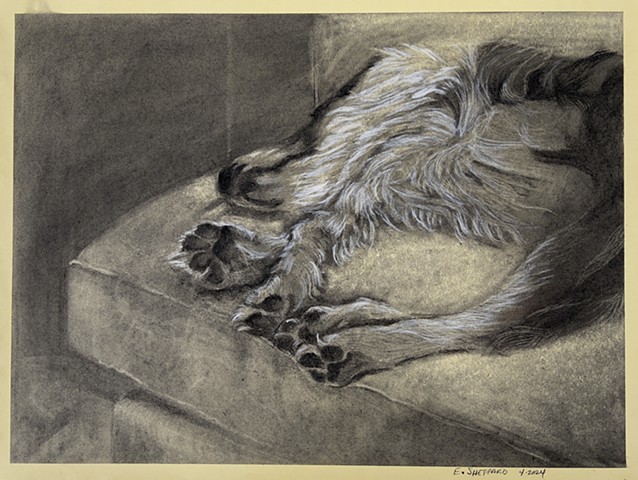 Molly, 3 of 4