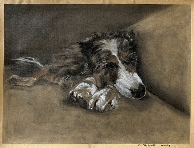 Molly, 1 of 4