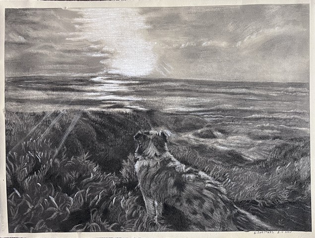 Pescadero Beach