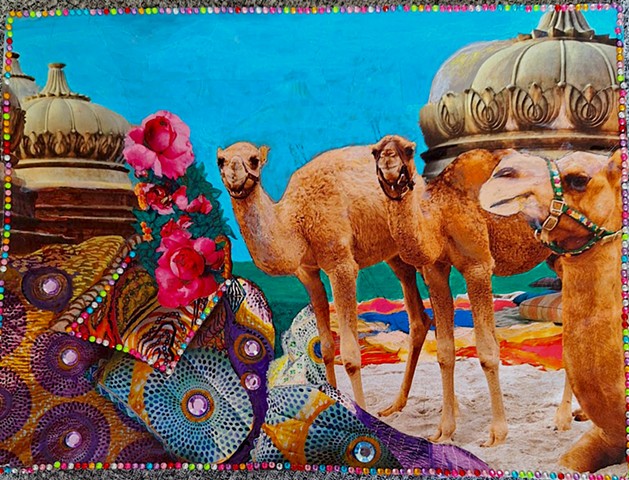 Camels Chilling on the Beach