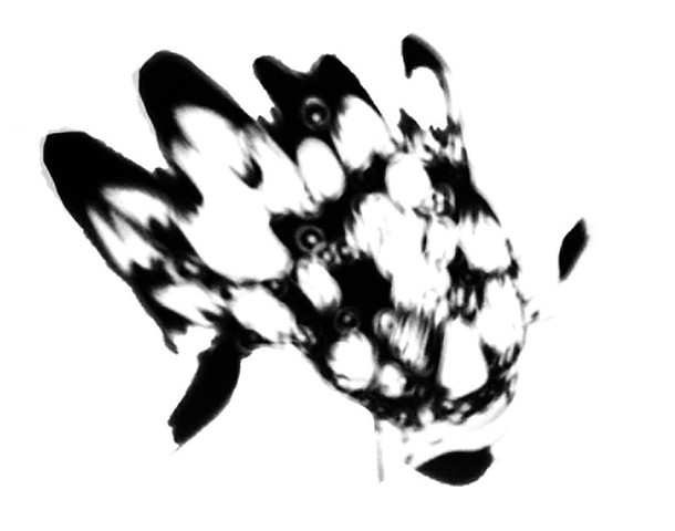 Amelia "Miles" Meason