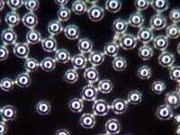 Glass Particles