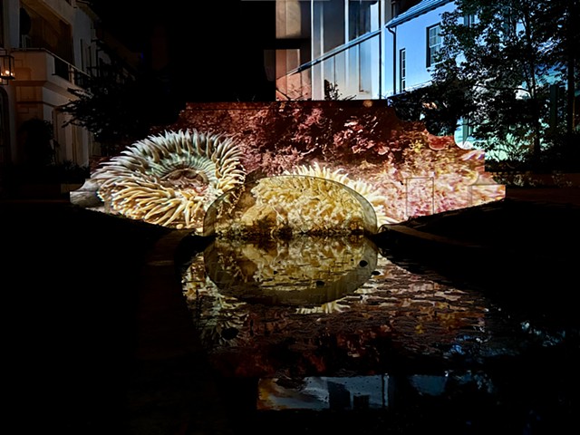 Sea Change: Uncovering the Unseen