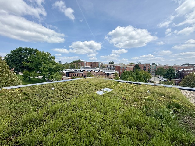 The Forge GreenRoof