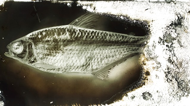 Sea Change: Uncovering the Unseen