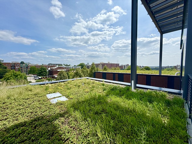 The Forge GreenRoof