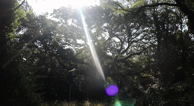 solstice hours
