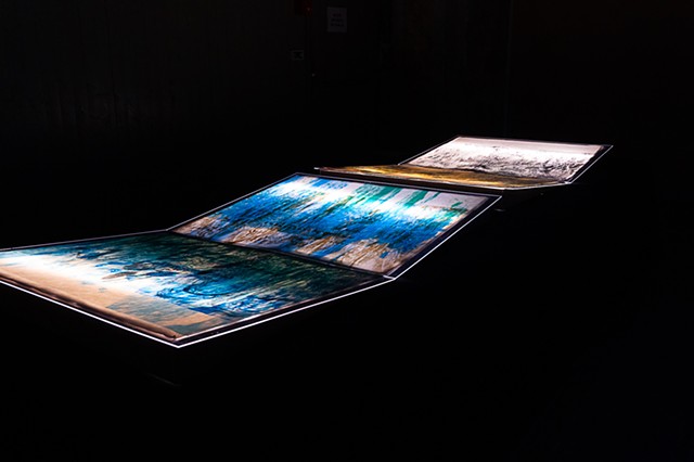 paradise books installation