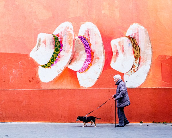 Walking the Dog