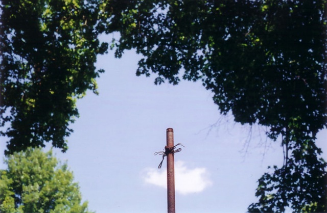 Pole.  Ithaca, NY.