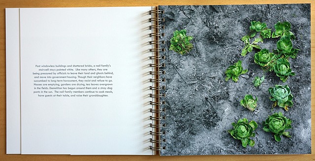 Sandra Eula Lee, Artist Book, The Walking Mountain, Image, Drawings, Text