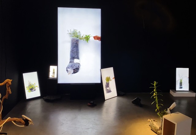 Video Documentation of Metabolic Rifts: Touch Memory at Telematic Media Arts