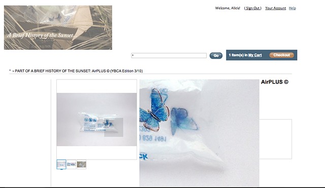 Screen shots from the temporary online amazon e-commerce shop. The shop was both fictional but fully shoppable.
