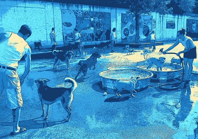 Dog Days of Bucktown (blue)