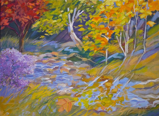 a lot of color and motion- Fall at Gregory Creek