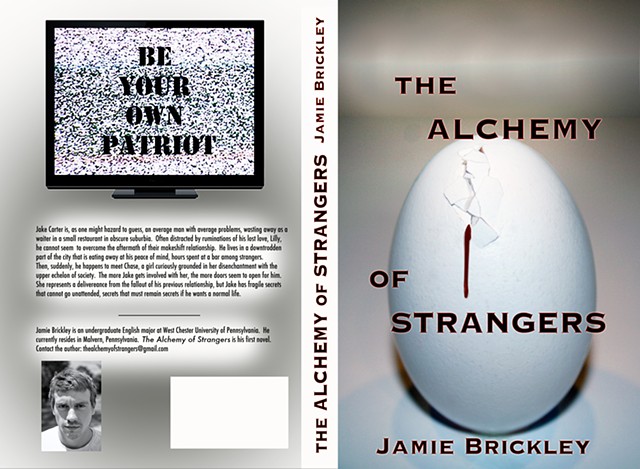 The Alchemy of Strangers book cover