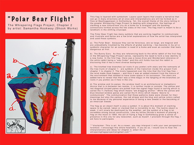Polar Bear Flight - Chapter 2 symbolism explained
