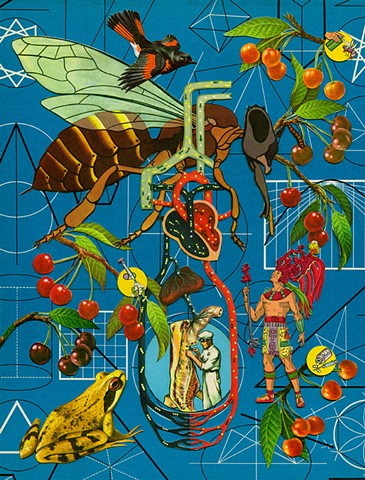 mayan cherries wasp frog geometry collage