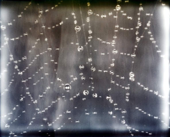 Dewy Web