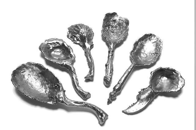 Collection of Curious Spoons