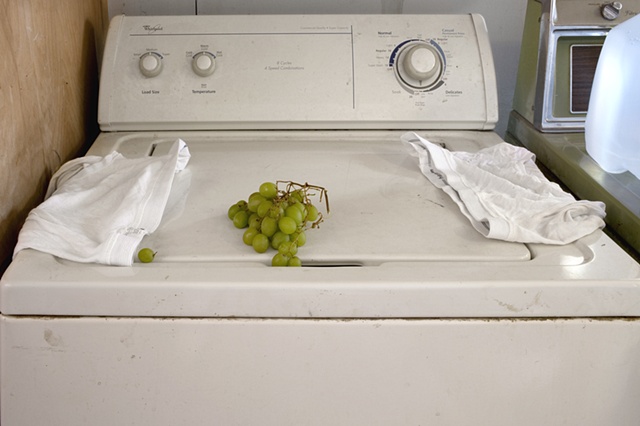 Still Life with Whitie Tighties and Forgotten Grapes