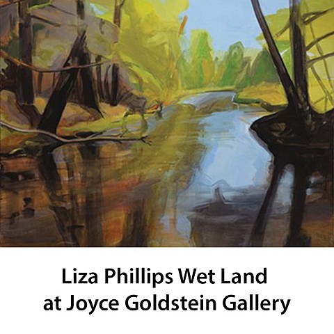 Liza Phillips wet Land / Painting an Unnatural Nature