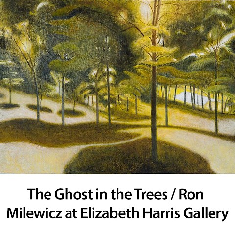 The Ghost in the Trees / Ron Milewicz at Elizabeth Harris Gallery
