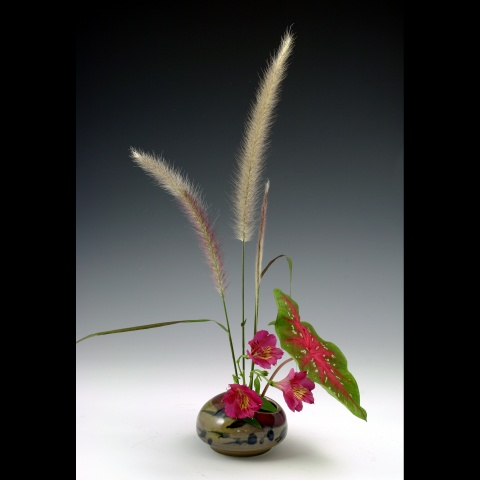 Db3 glazed IKI with Red grass, Caladium and alstromeria blooms