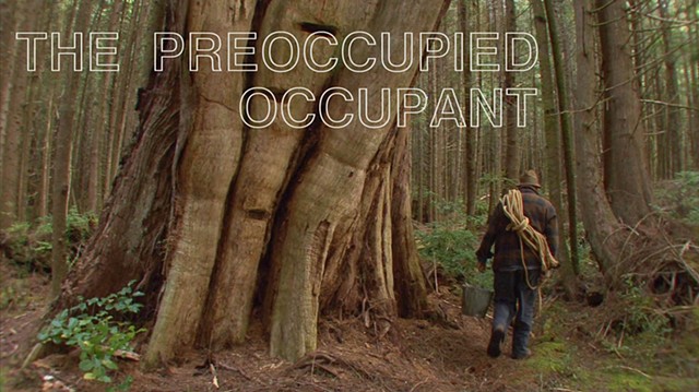 "The Preoccupied Occupant" 
(Part 2 of a seamless, narrative loop)
