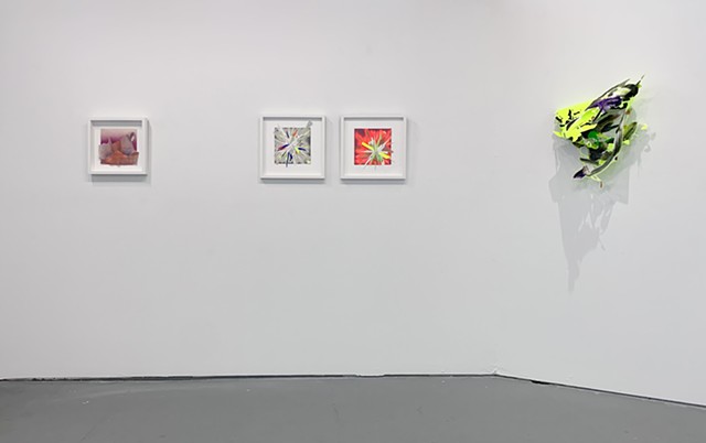 "Lindsay McCulloch: Double Rainbow", Ro2 Art, installation 6