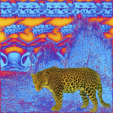 How a leopard changes spots.